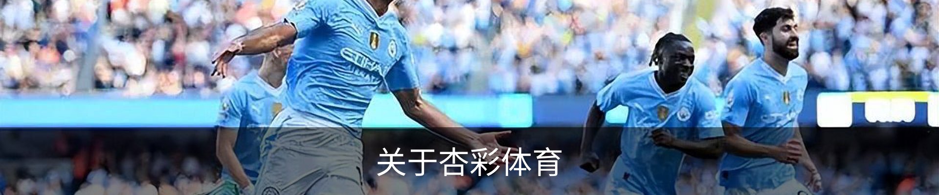 关于杏彩体育